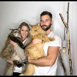 Meet your Posher, Lindsay